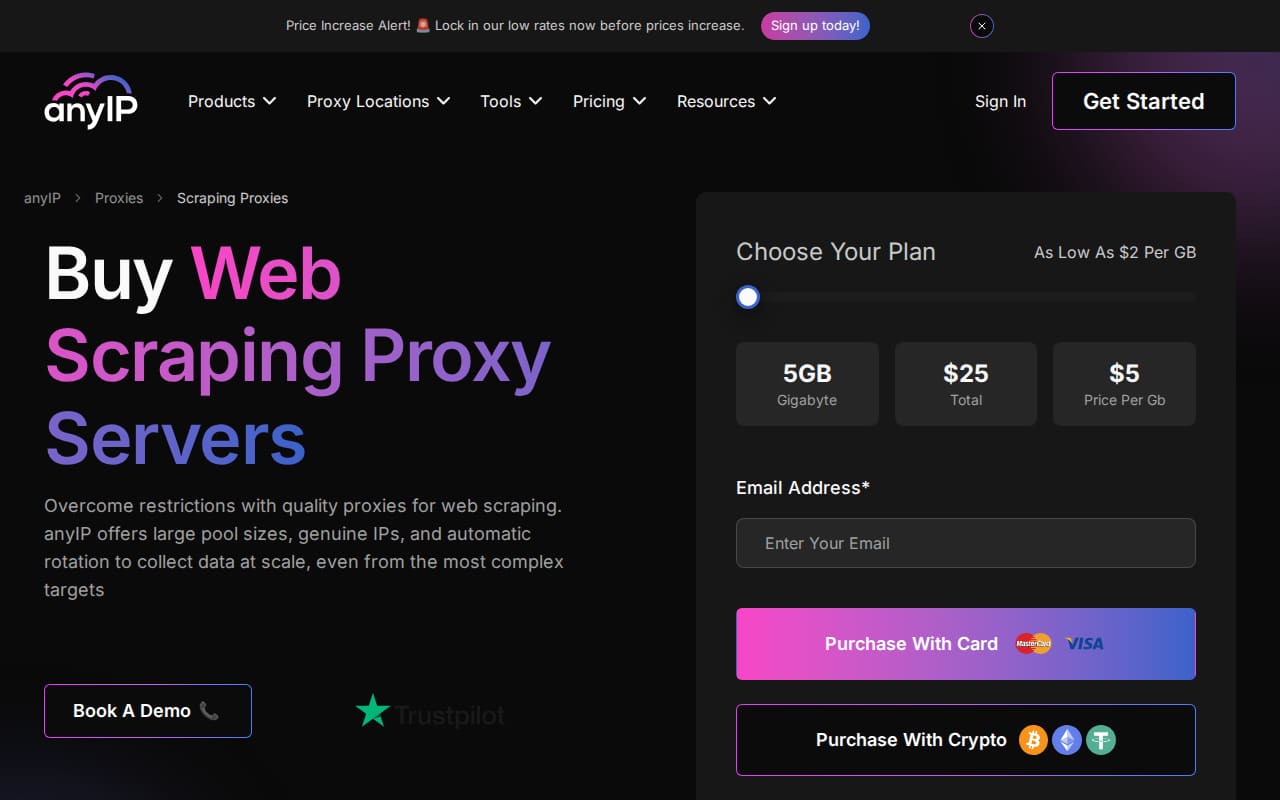 AnyIP.io docs page